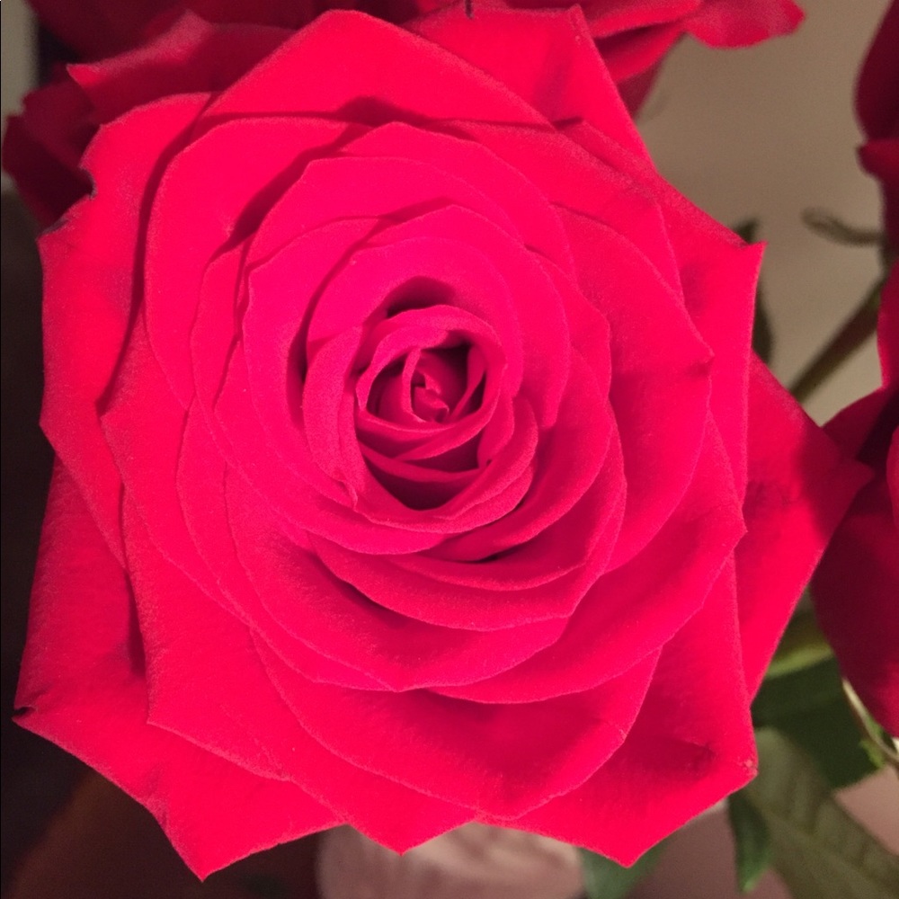 Meet your Posher, Rashanda